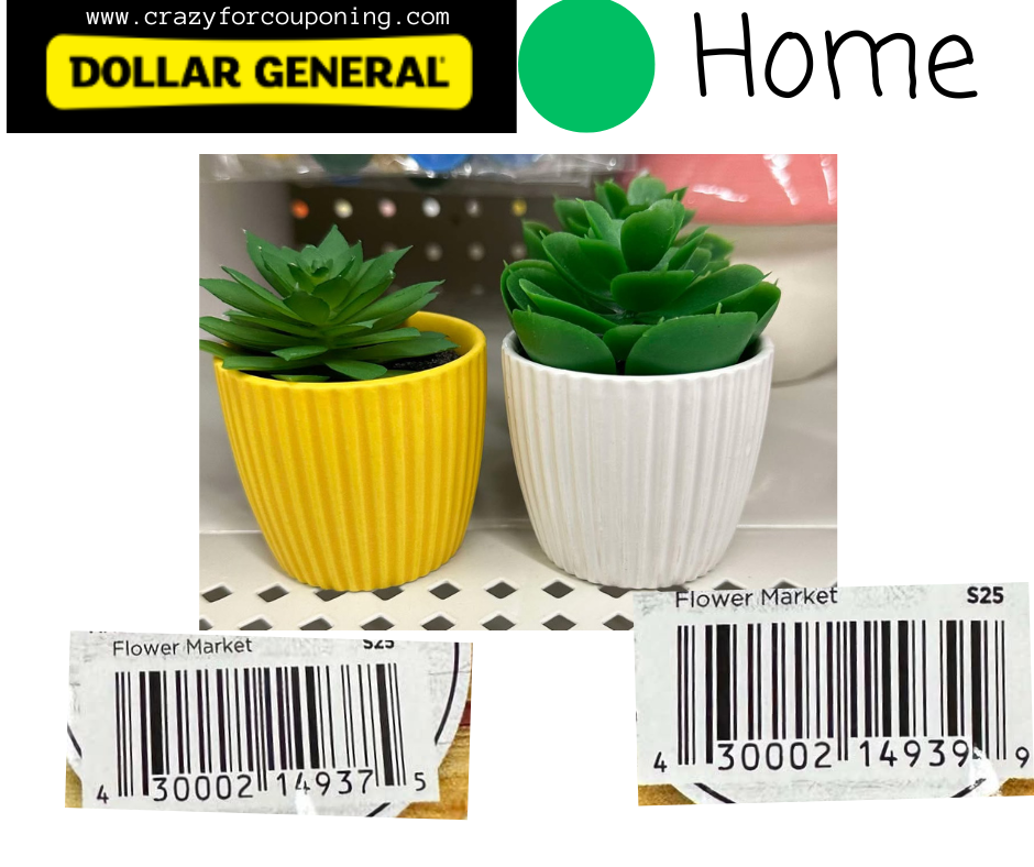 Dollar General Green DOT Home Visuals