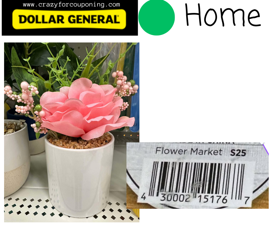 Dollar General Green DOT Home Visuals
