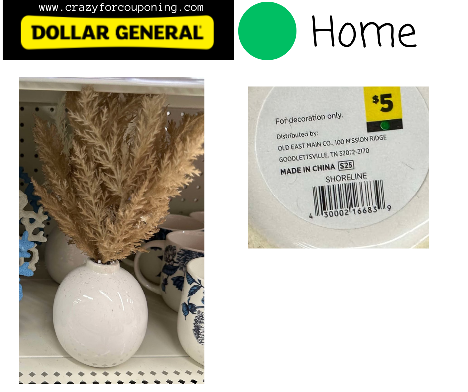 Dollar General Green DOT Home Visuals