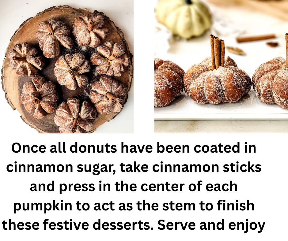Pumpkin Donut Recipe 
